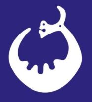 storsjo taxi